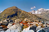 Lago di Montespluga 